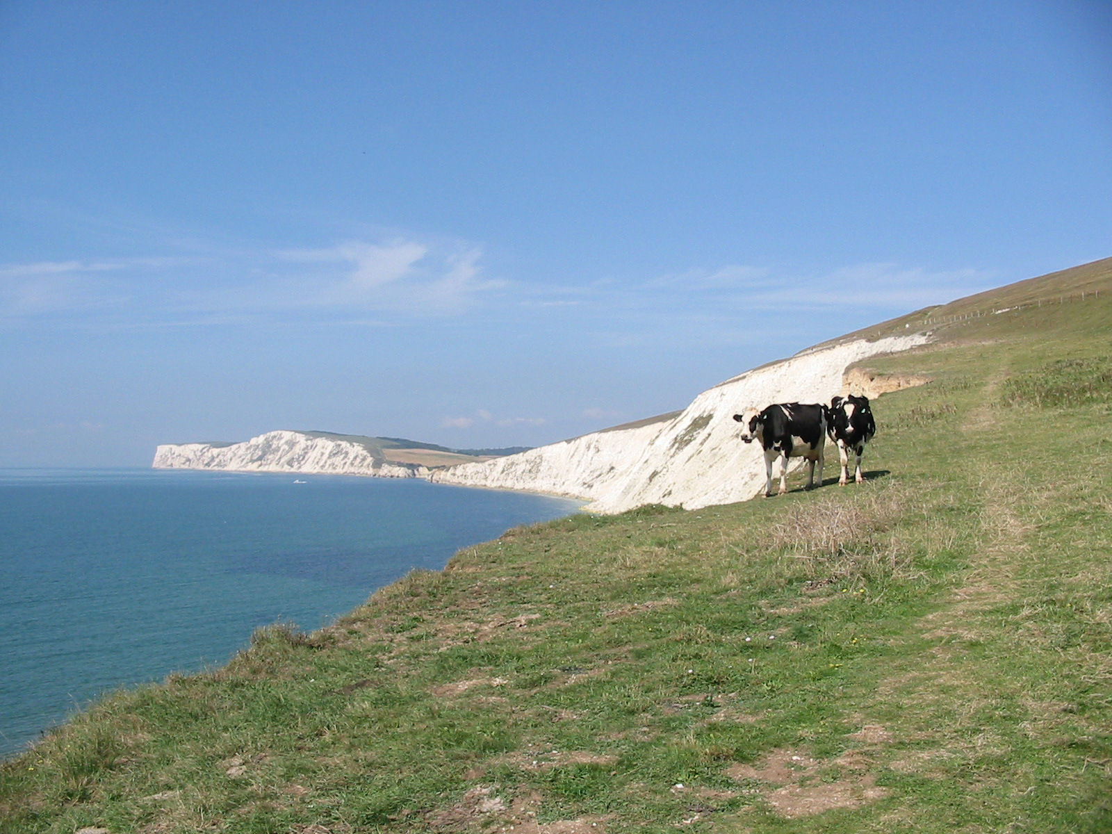 wight