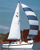 cirrus