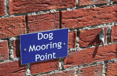 dogging